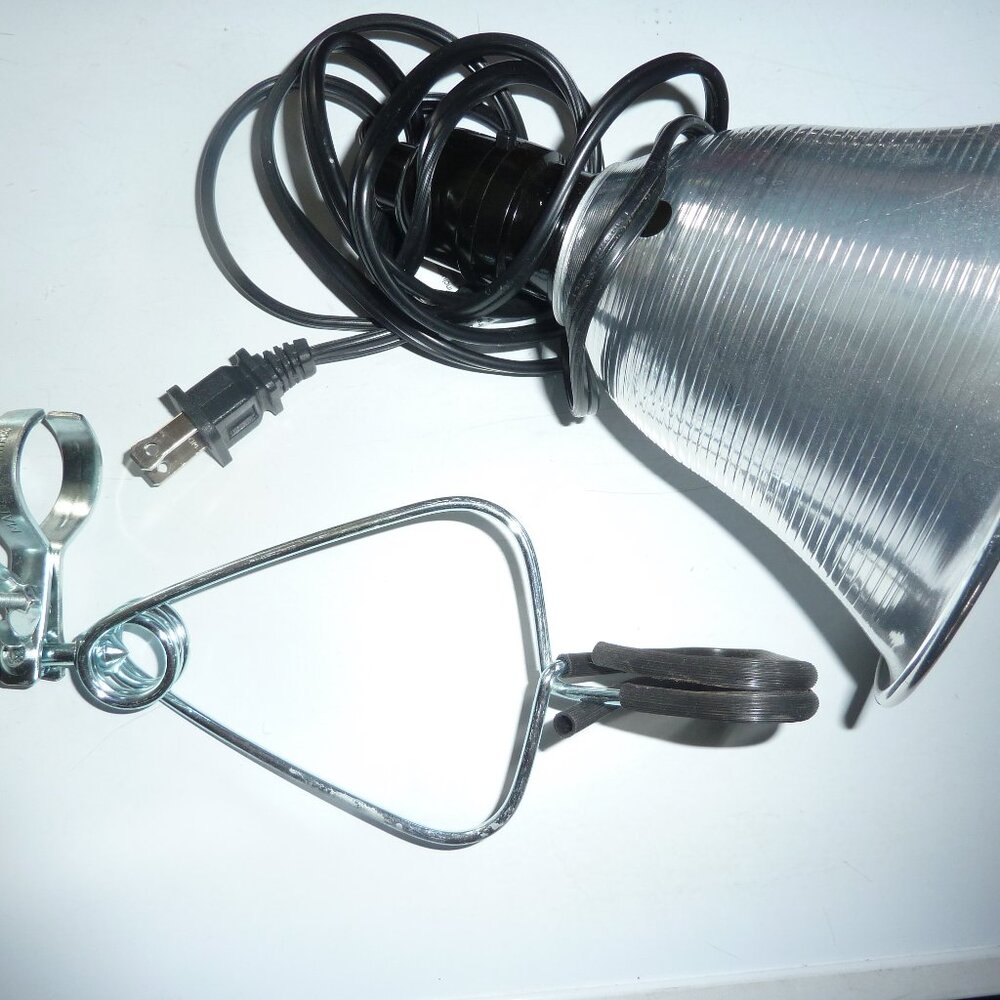 Terrarium lamp and clamp